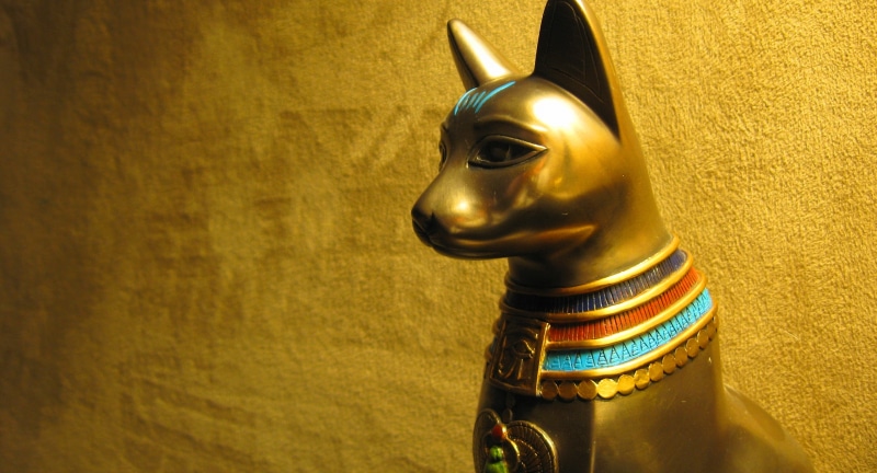 cat, Bastet, the cult, Golden statue, 4K, Egypt