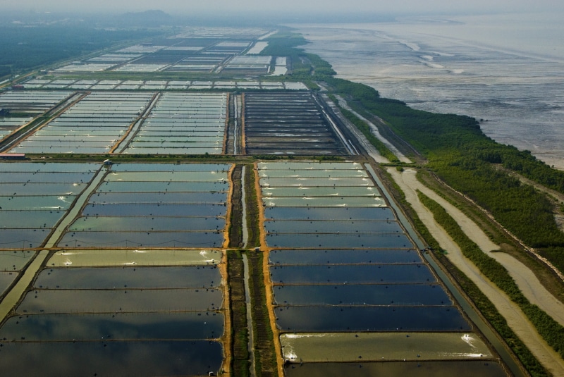 nature, no people, field, sekincan town, water, selangor state, day, view, aerial view, 8K, architecture, landscape, land, building exterior, sea, industry
