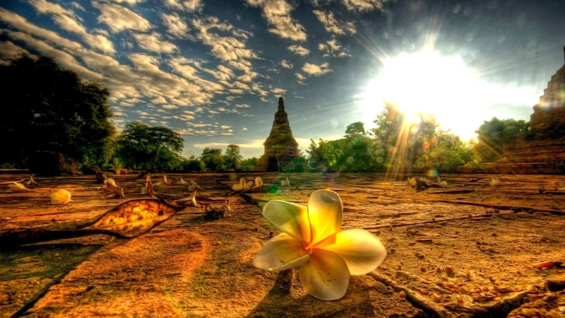 white, temple, landscape, thailand, scenic, site, asia, scene, painting, 1080P, lens flare, near chiang mai, flower, chiang mai