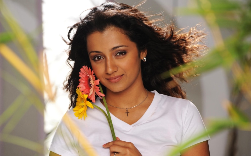 trisha, indian actress, krishnan, 4K