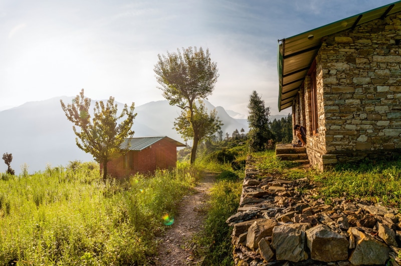 2K, india, goat, Uttarakhand, village