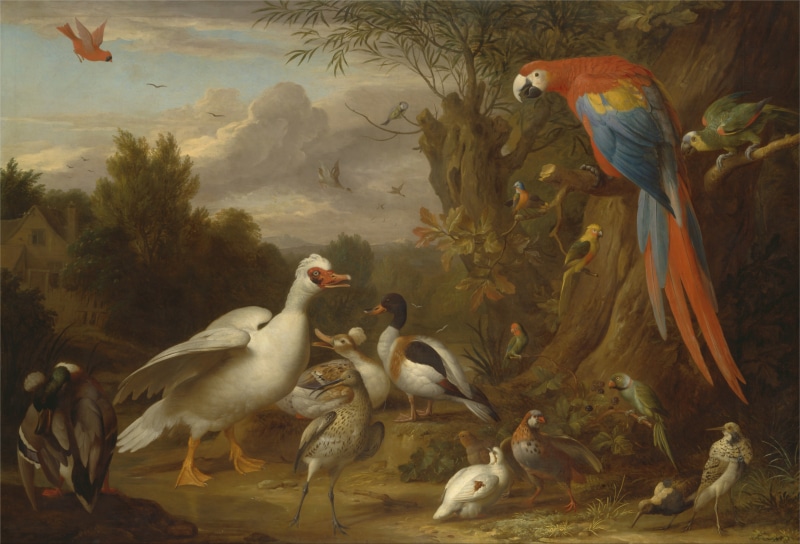 day, nature, woods, underwater, assorted, outside, mountains, animal themes, wildlife, animal wildlife, countryside, painting, trees, marine, oil on canvas