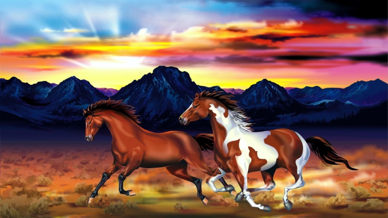 horses, horse, 4K