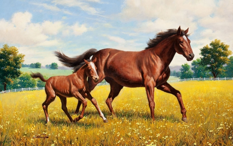 rural Scene, mammal, land, pets, domestic animals, 2K, nature, riding, painting, pasture, livestock, thoroughbred Horse, no people, horses, grass, meadow