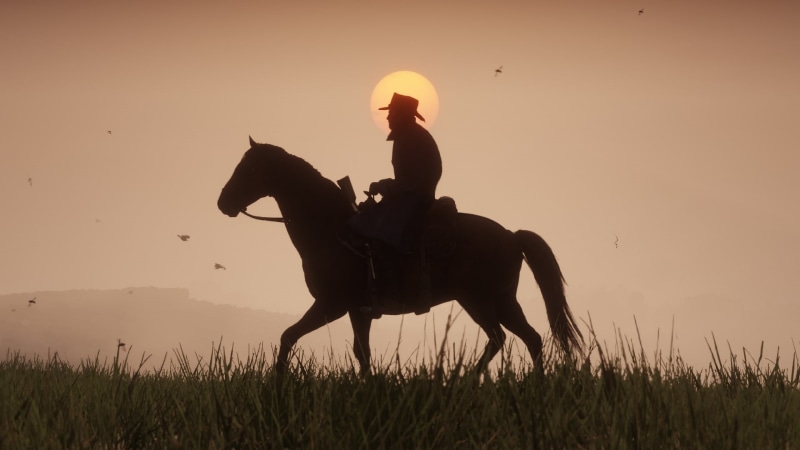 lifestyles, field, cowboy, real people, animal, domestic, one animal, ride, land, animal themes, silhouette, animal wildlife, Games, one person, mammal