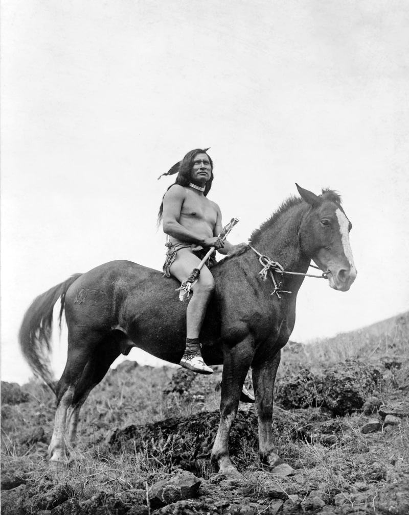 grayscale, activity, moccasin, group of animals, livestock, warrior, nature, people, indians, native american, nez perce, adult, animal, man, herbivorous
