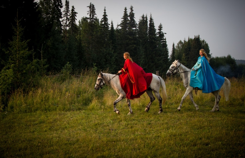 environment, real people, plant, domestic, land, horses, red, nature, leisure activity, field, domestic animals, one animal, girls, full length, grass