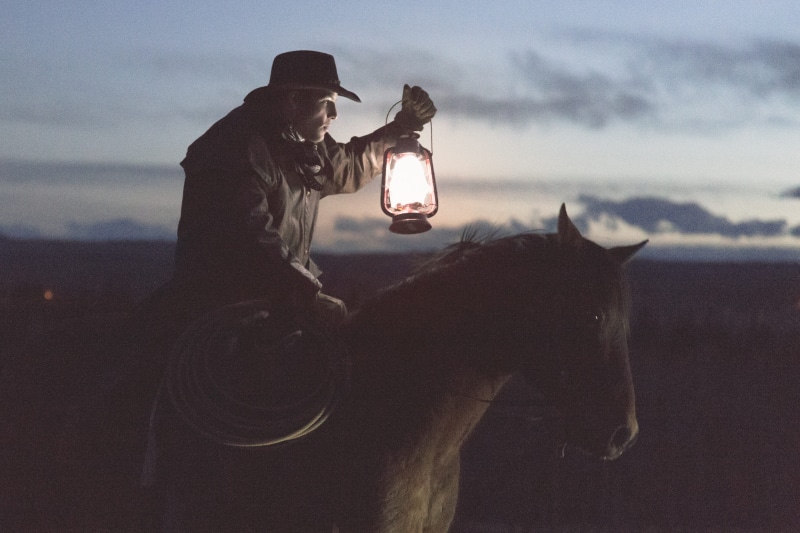 horseback Riding, focus on foreground, brown, mammal, photographing, one animal, domestic animals, black, adults only, animal, activity, only women, 4K