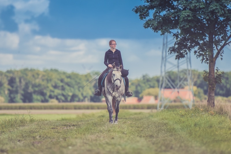 sunlight, walking, daylight, front view, rural scene, men, grass, sky, adults only, horseback riding, animal, recreation, land, tree, woman, beauty, landscape