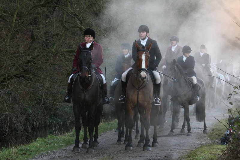 group of people, standing, front view, animal wildlife, adult, walking, full length, morning, winter, outdoors, mid adult, hunting, riding, mammal, adults only