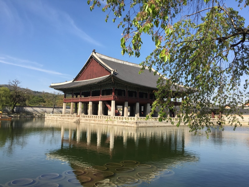 built structure, plant, nature, 4K, architecture, belief, lake, tree, traditional, reflection, korea culture, republic of korea, waterfront, day, building