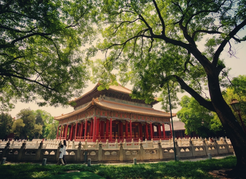 tree trunk, spirituality, growth, no people, forbidden city, outdoors, park, 2K, shrine, architecture, building exterior, day, belief, plant, building