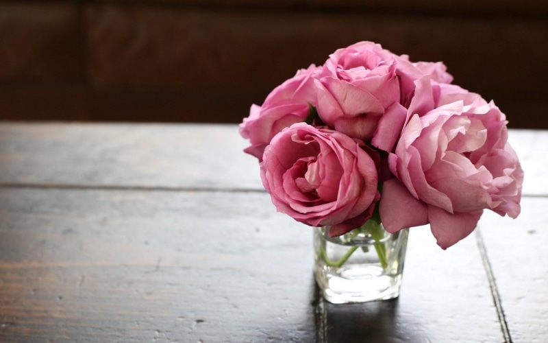 vase, roses, 720P, flowers, water, pink