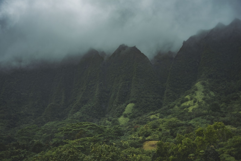 rainforest, mountains, sky, green, plant, tree, remote, outdoors, clouds, jungle, palm trees, mountain peak, peak, forest, hawaii, weather, beauty in nature
