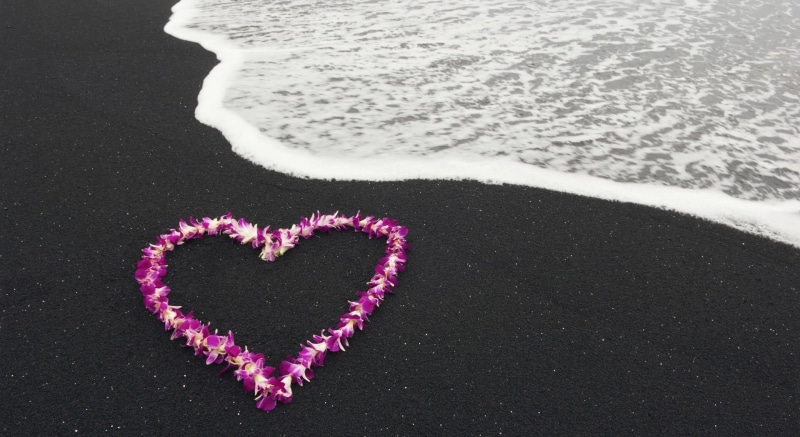 sign, beauty In Nature, day, petaled, sport, hearts, land, 1080P, flowers, emotion, shiny, celebration, text, sea, surfing, valentines Day - Holiday, outdoors