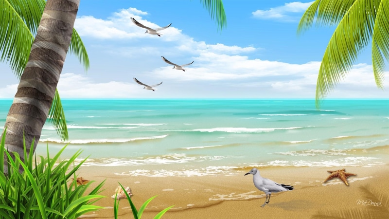 beautiful, seagulls, romantic, honeymoon, ocean, relax, serene, 1080P, sea, tropical, waves, water, grass, star fish, sand