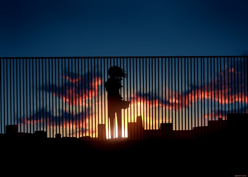 copy space, real people, clear sky, built structure, blue, men, sunset, clouds, silhouette, one person, 2K, nature, architecture, anime, fence, landscape