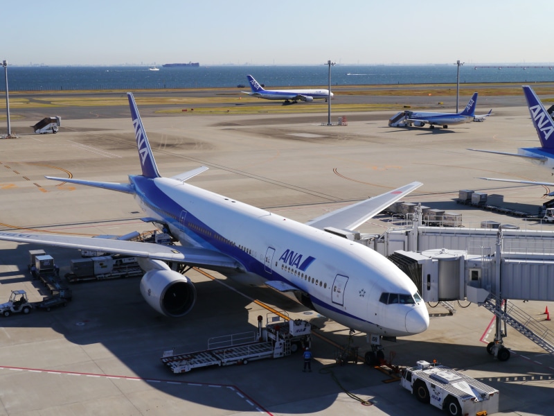terminal, 4K, incidental people, nature, ana, stationary, horizon, land, jet, commercial airplane, sky, day, sunlight, travel, arrival, tokyo bay, white
