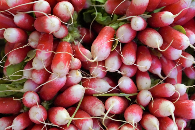 for sale, farmers local market, delicious, food and drink, salad, vegetables, healthy, white, red, vegetable, healthy attitude, gardening, sour, way of life
