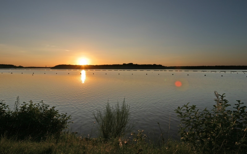 landscape, 1080P, lens flare, outdoors, sunset
