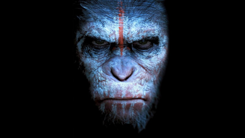 dawn of the apes, adventure, monkey, sci fi, apes, planet, action, 1080P, drama, dawn