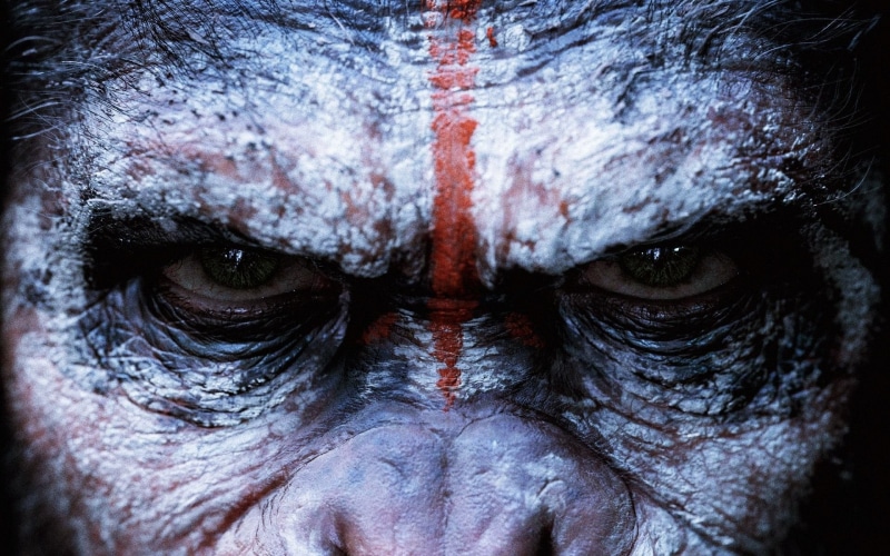 full frame, close-up, monkey, eye, portrait, apes, indoors, Dawn of the Planet of the Apes, people, men, movies, human face, looking at camera, human eye