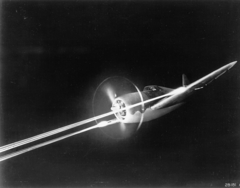 animal, close-up, technology, nature, light - natural phenomenon, photography, light bulb, accuracy, archival, gray, aircraft, studio shot, single object