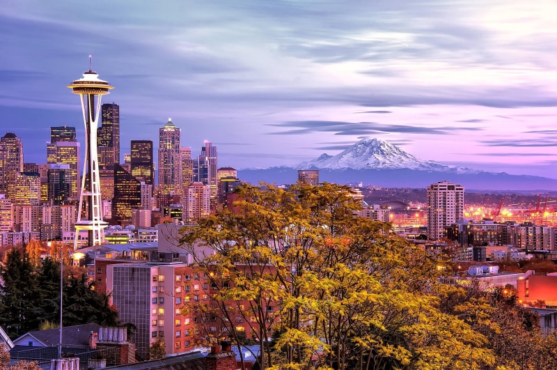 city, 2K, cloud - sky, urban skyline, Seattle, tree, tall - high, landscape, building exterior, plant, needle, no people, sky, building, illuminated, space