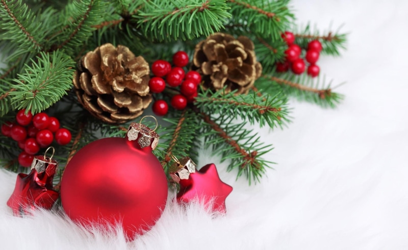 year, new, twig, fur, 1080P, needles, christmas decorations, christmas, decorations, new year, bud