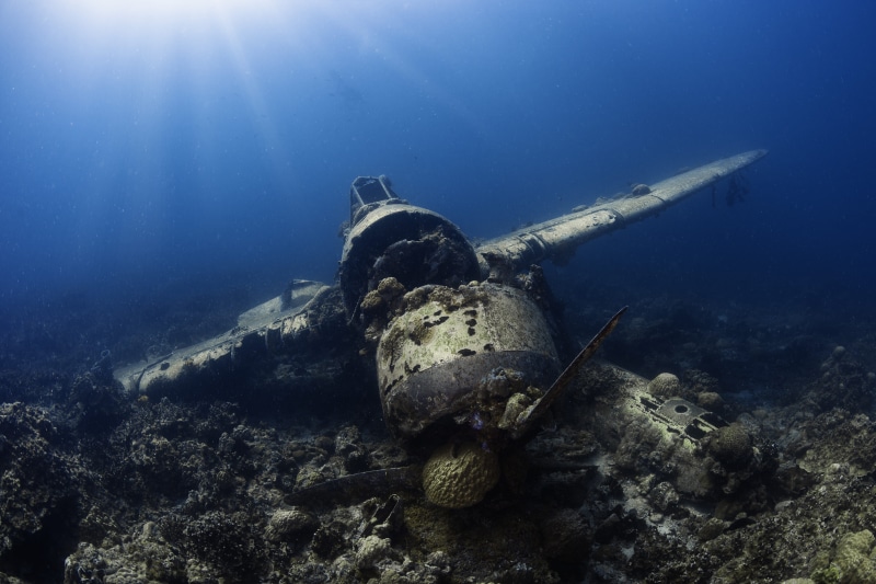 aircraft, invertebrate, nature, animal, underwater diving, one animal, underwater, animal wildlife, plane crash, marine, crash, no people, sea, adventure