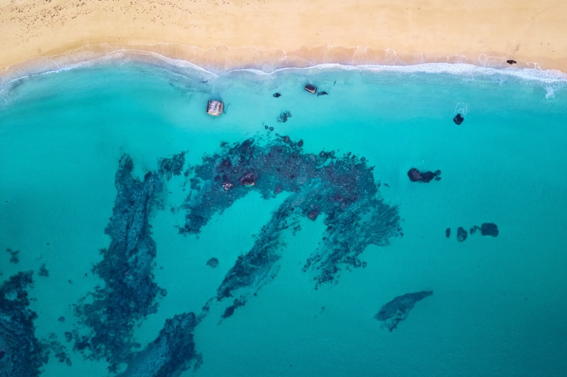 group of animals, 2K, underwater, cyan, no people, day, sea life, nature, water, animal themes, aerial view, blue, boat, outdoors, animal, sea, turquoise colored