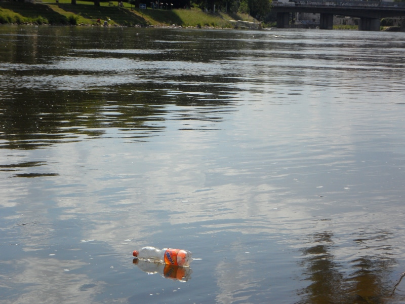 plastic waste, animal, 4K, floating on water, environment, tranquility, clear, body, thrown away, waterfront, nature, plastic, bird, water, bottle, beauty in nature