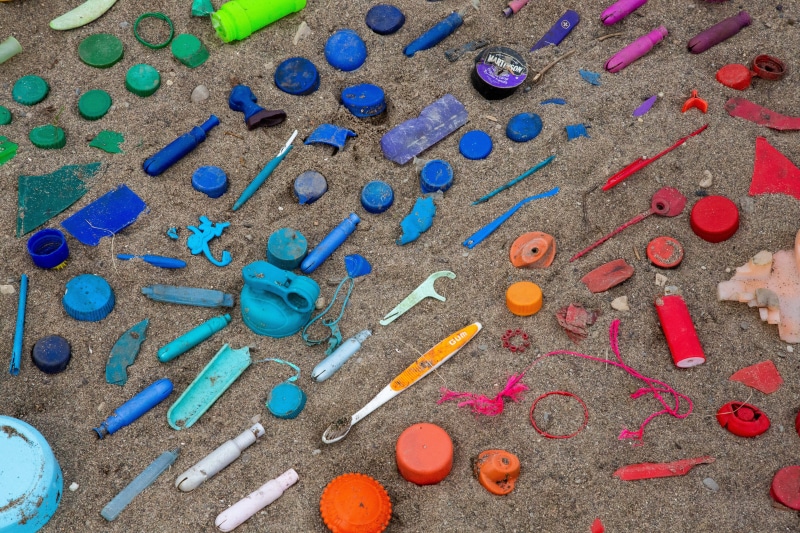 nature, animal welfare, orange color, garbage collection, disposable plastic, land, cutlery, plastic, multi colored, close-up, variation, art and craft