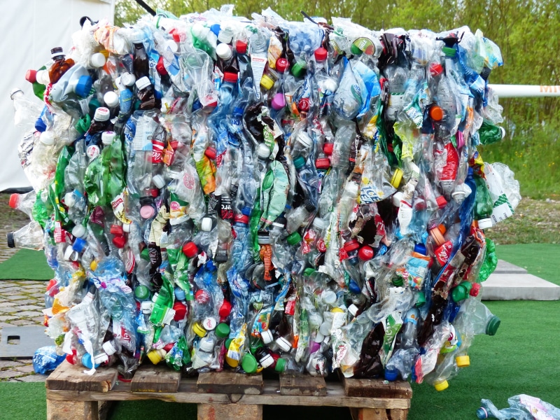 large group of animals, recycling, animal themes, bottles, pallet, animal wildlife, environmental protection, animal, bottle, trashbin, pressed, pressed together