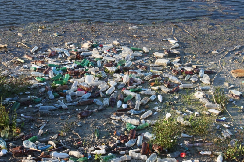 bottle, day, rock, rubbish, land, river, plastic, environmental damage, environment, 4K, dump, beach, color, environmental issues, lot, water pollution