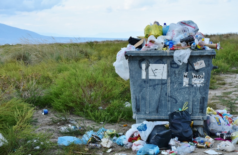 responsibility, pollution, sky, environmental protection, bag, representation, throw away society, garbage, grass, green, waste, flower, waste disposal
