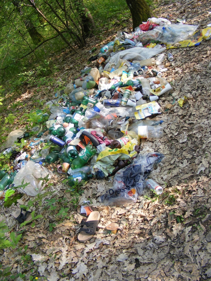 pollution, 2K, recycling center, bottle, green, nature, high angle view, no people, environmental damage, large group of objects, Forest, plastic bag