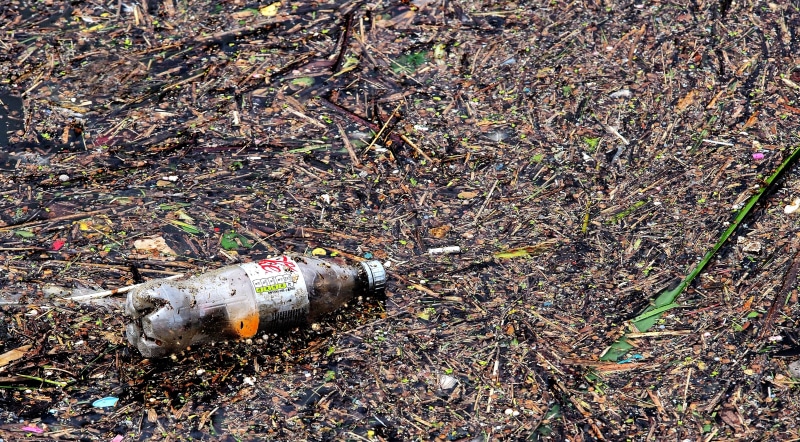 eyesore, sustainability, creek, sea, discarded, bottle, biodegradable, flotsam, recycle, environmental, ecosystem, abandoned, environmental damage, environmental issues