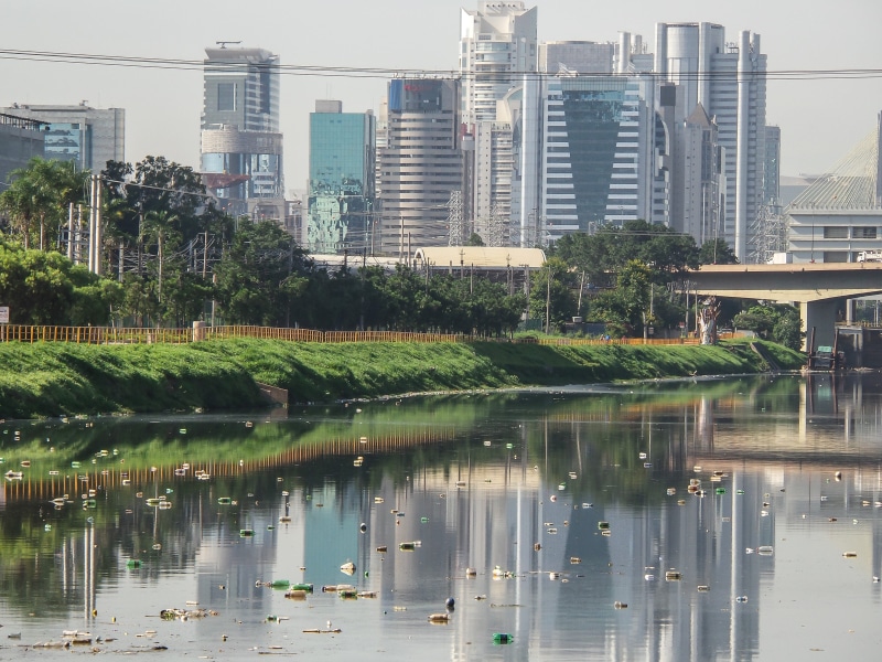 pet bottle, plant, metropolis, River Pines, day, architecture, reflection, built structure, no people, financial district, tall - high, tree, growth, são paulo