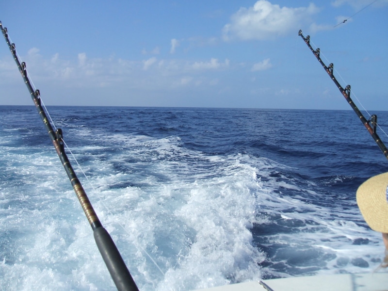 outdoor, beauty in nature, tranquility, water, ship, blue, motion, holiday, recreation, vacation, marlin, casting, marine, beach, sky, black, leisure, hilo
