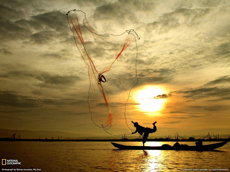 hd, net, silhouette, sunlight, nature, fishing, 720P