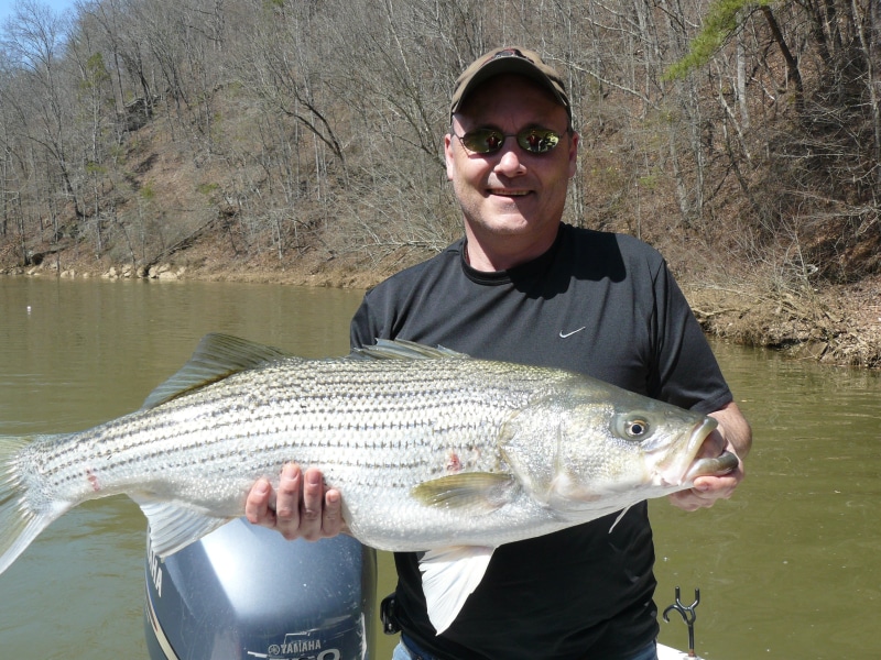 lifestyles, leisure activity, sport, fish, reel, tackle, smiling, water, 2K, angling, river, outdoors, sunglasses, men, man, recreation, freshwater Fishing
