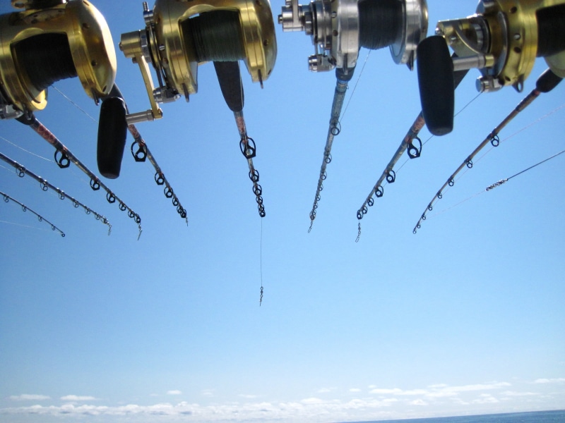boat, rod, blue, deep sea, directly below, ocean, fisherman, fishing rods, day, clear sky, sunlight, 4K, flying, equipment, nature, motion, sky, saltwater