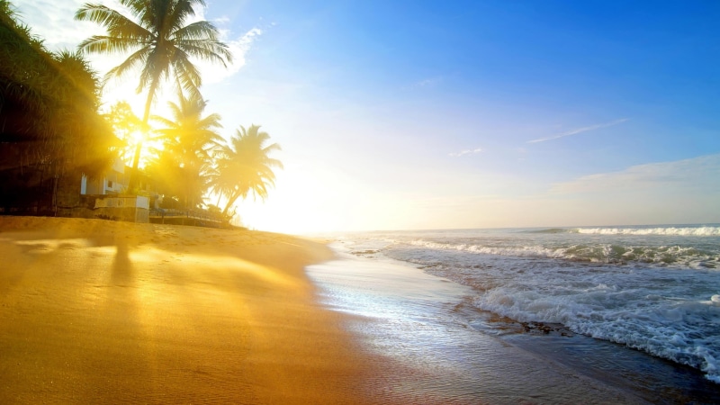 wave, coast, tropical landscape, palm, sunlight, ocean, sun, horizon, sand, shore, summer sunrise, sunrise, sky, 4K, sea, water, body of water, palm tree