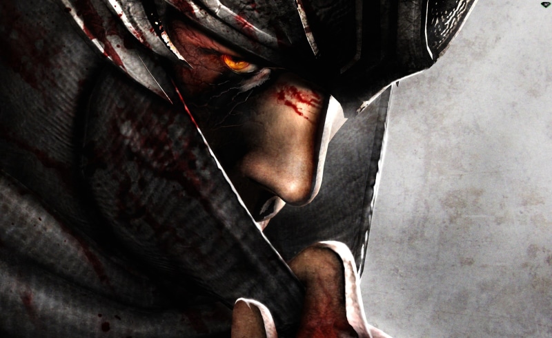 Games, themed, human body part, headshot, portrait, young women, close-up, outdoors, gaiden, cover, aggression, ninja, young adult, body part, 2012, human face