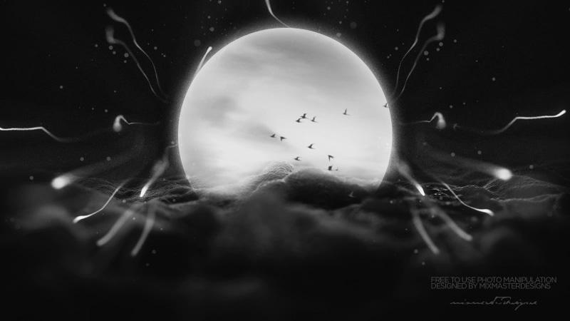 environment, Moon, sky, graphic design, positive emotion, no people, emotion, birds, night, cloud - sky, nature, photo manipulation, IT design, digital composite