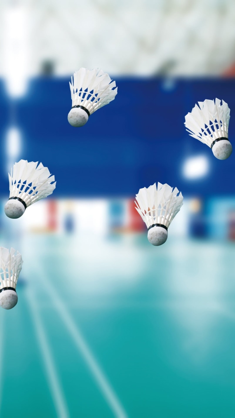 white color, butterfly - insect, five, animal wing, selective focus, sport, badminton, focus on foreground, shuttlecocks, 1080P, day, white, nature, wealth