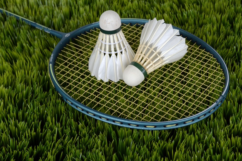 competition, recreational sports, two, basket, container, food and drink, shuttlecocks, bat, field, leisure, green color, metal, feather, freshness, grass