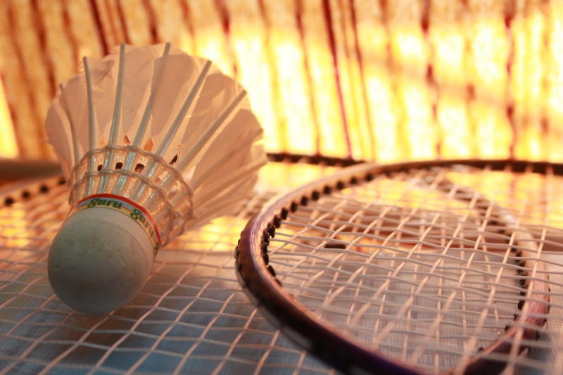 equipment, pattern, activity, tennis racket, feather, day, nature, still life, sports, rackets, table, arts culture and entertainment, focus on foreground