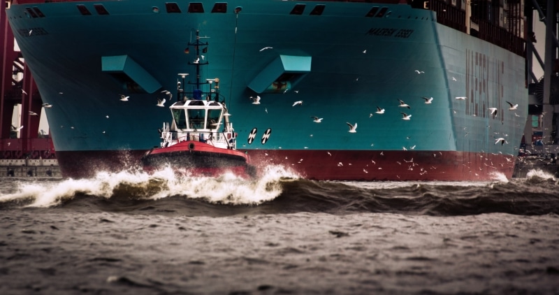 no people, aquatic sport, ship, Birds, Maersk Line, nature, Water, transportation, 2K, Case, motion, built structure, outdoors, wave, speed, Maersk, Tug